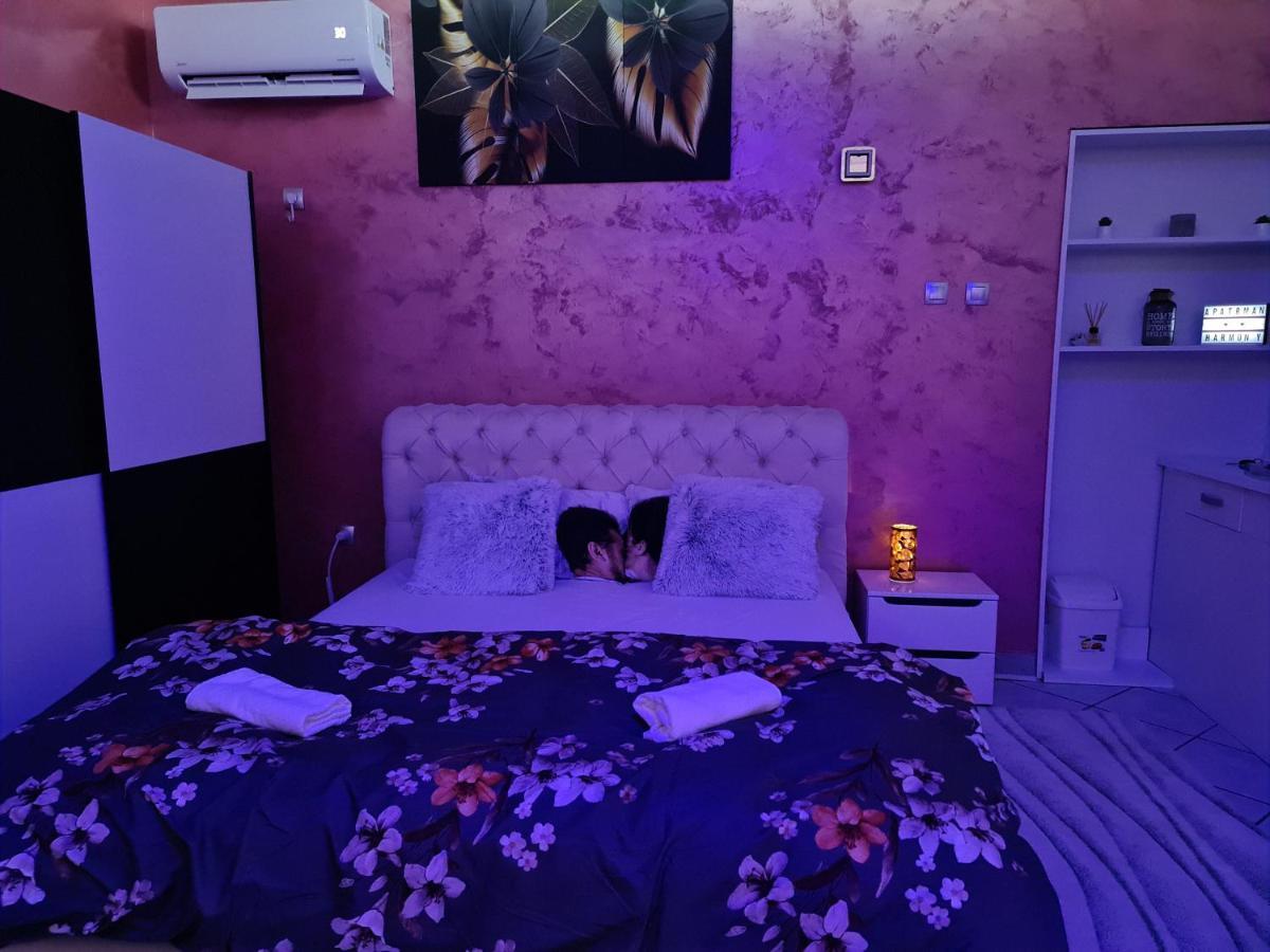 Apartman -Harmony- Paraćin Esterno foto