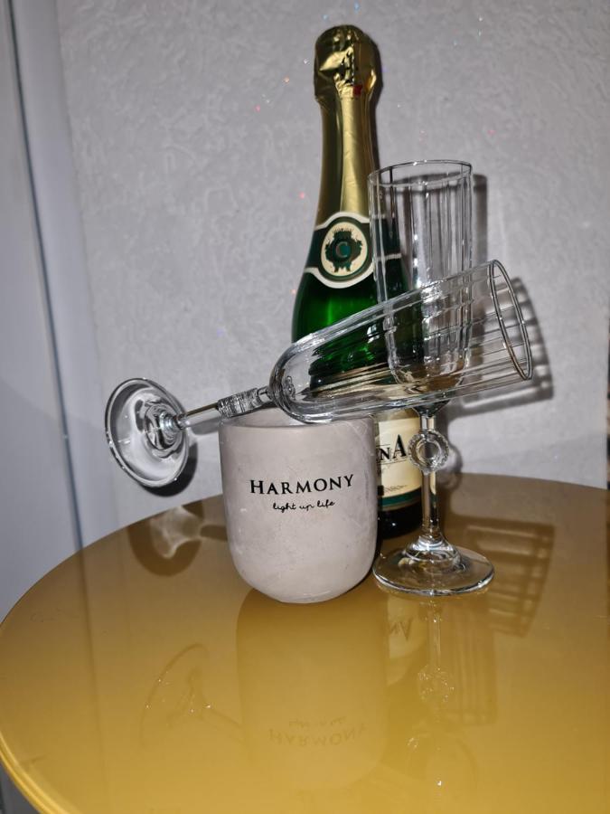 Apartman -Harmony- Paraćin Esterno foto