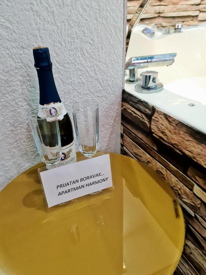 Apartman -Harmony- Paraćin Esterno foto