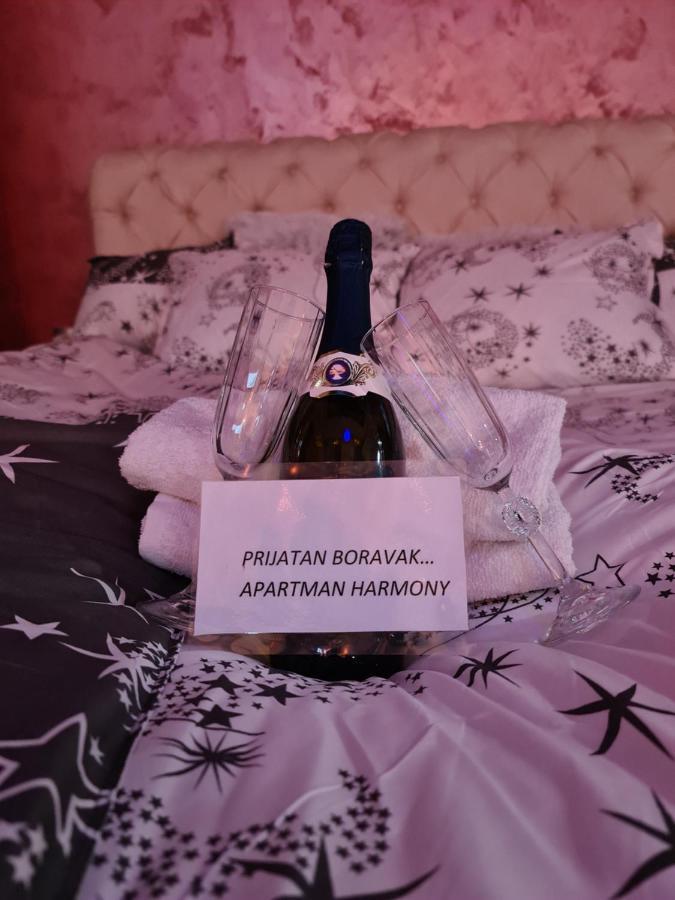 Apartman -Harmony- Paraćin Esterno foto